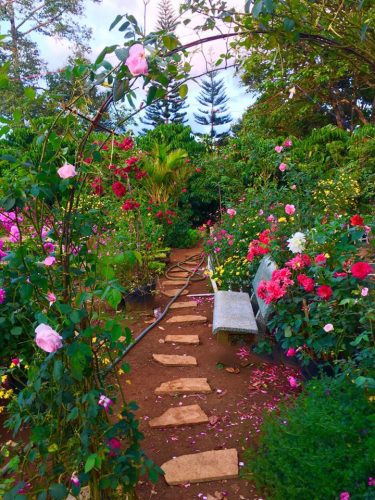 Sân vườn đẹp tự làm - Mẫu sân vườn hoa đẹp