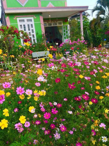 Sân vườn đẹp tự làm - Mẫu sân vườn hoa đẹp