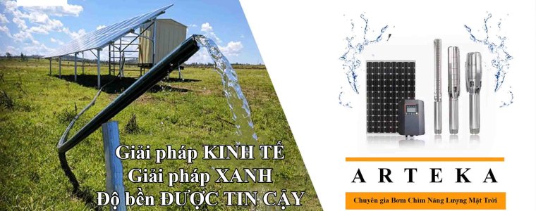 Cung Cấp Bơm Chìm Năng Lượng Mặt Trời Arteka tại Bình Thuận