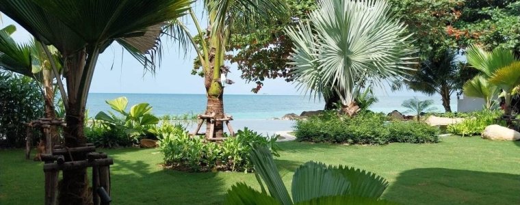 THI CÔNG SÂN VƯỜN TRỌN GÓI TẠI PHAN THIẾT